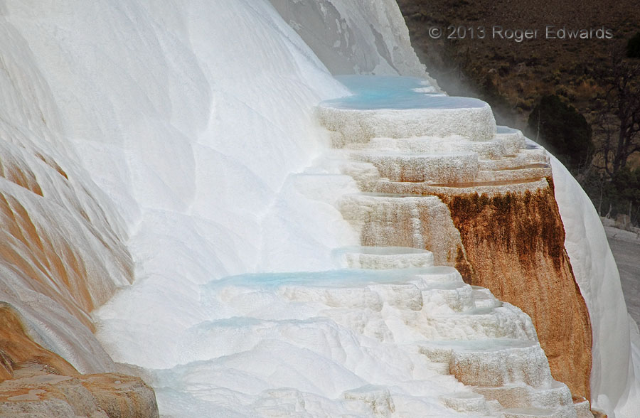 The Blue Ledges (Mammoth Hot Springs, Yellowstone)